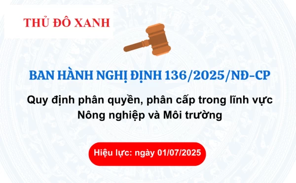 phap-ly/nghi-dinh-136.png