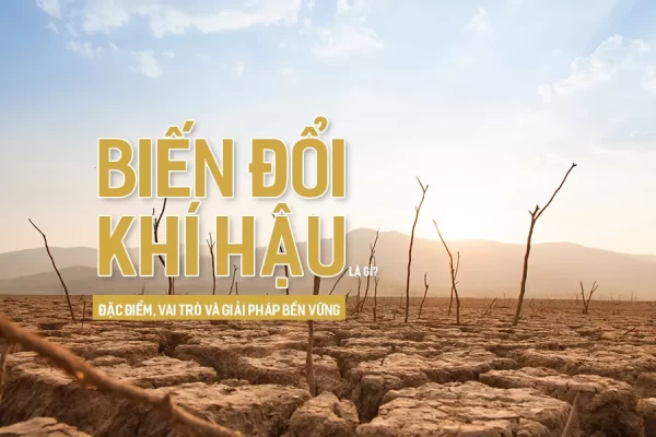 Biến đổi khí hậu ảnh hưởng đến đời sống con người như thế nào