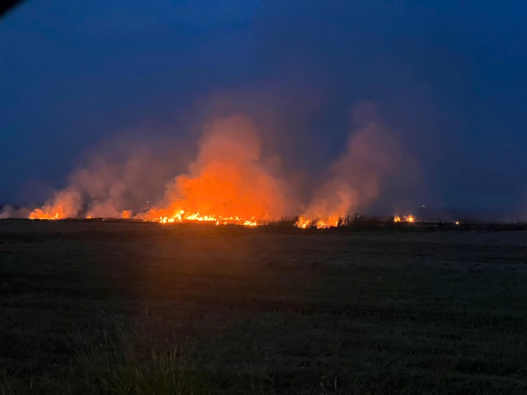 Thành phố Huế xử phạt đốt rơm rạ sau thu hoạch